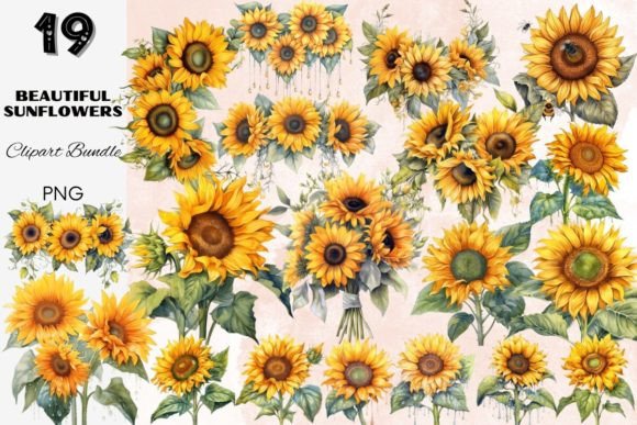 Download Sunflower Summer Sun Flower Sunflowers - Summer Collection